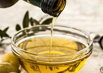 minyak zaitun obat herbal kolesterol dr zaidul akbar