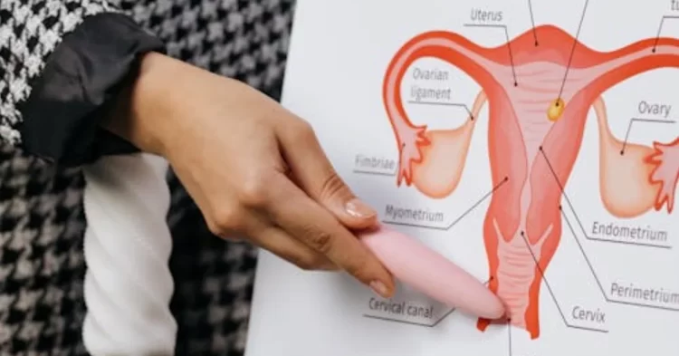 dokter sedang menjelaskan penyakit miom