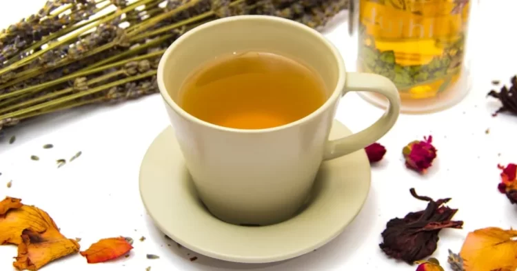 minuman herbal untuk diabetes dr zaidul akbar
