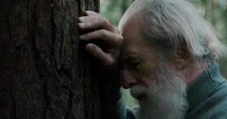 seorang lansia dengan rambut penuh uban