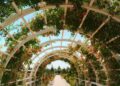 Lorong taman dengan lengkungan bunga yang rimbun, ilustrasi hadits tentang 72 bidadari dan keindahan surga